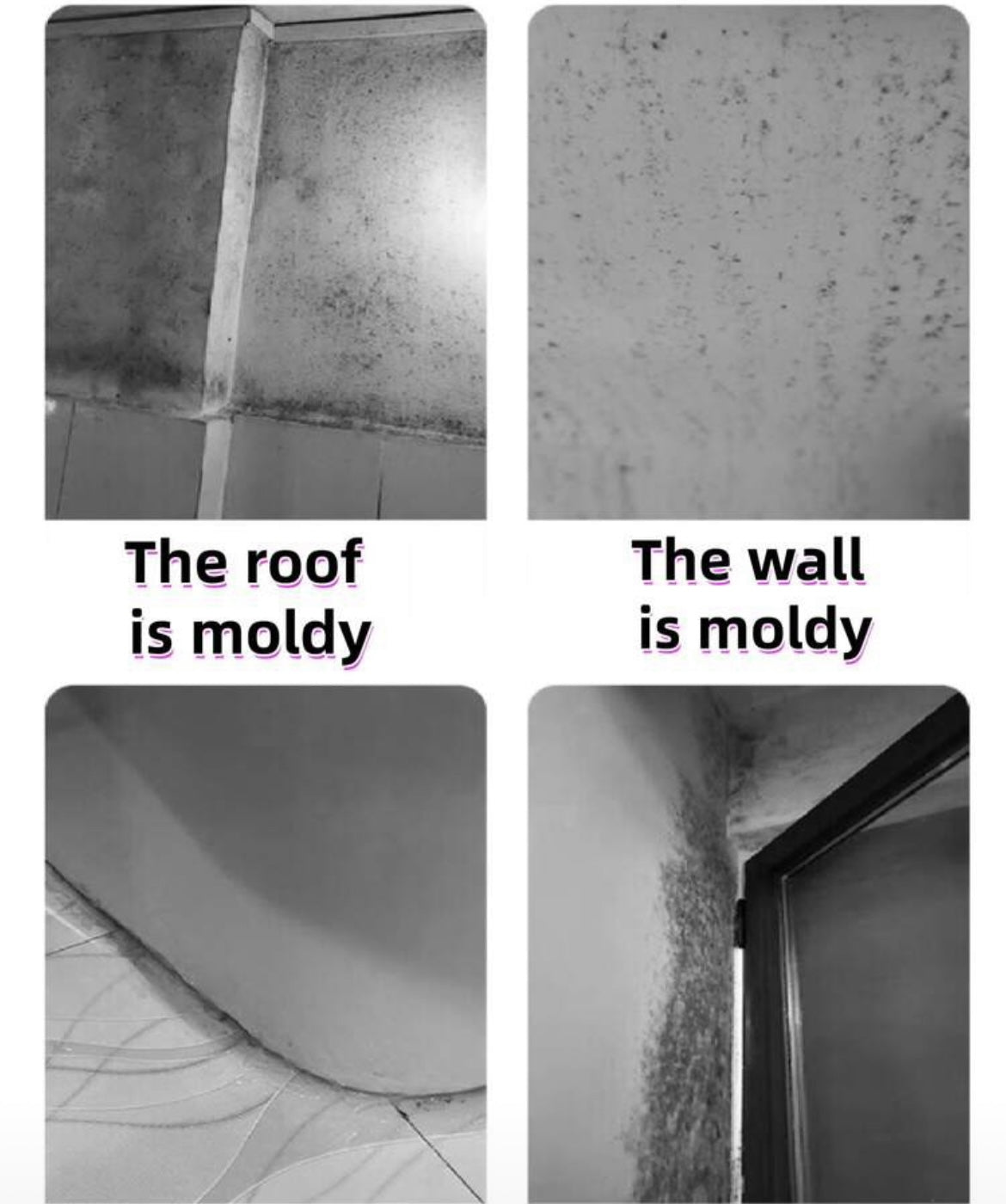 Mold remover spray
