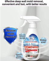 Mold remover spray