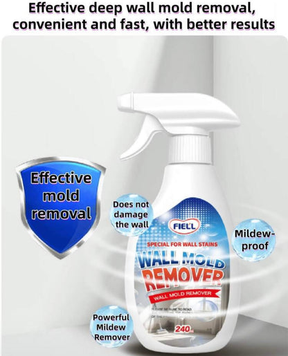 Mold remover spray