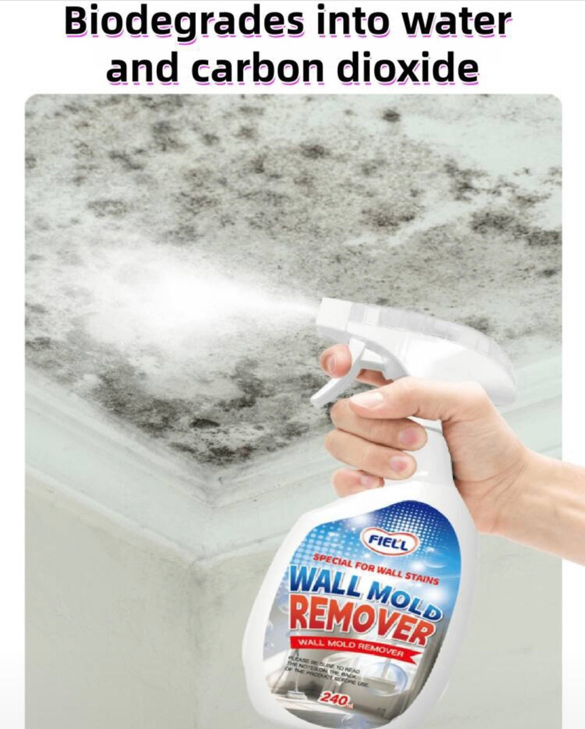 Mold remover spray