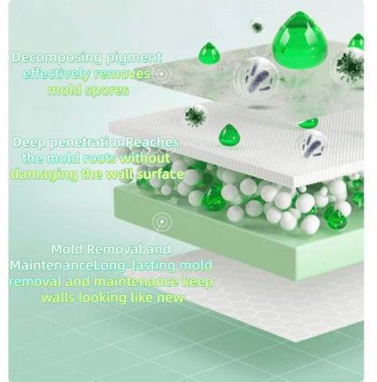 Mold remover spray