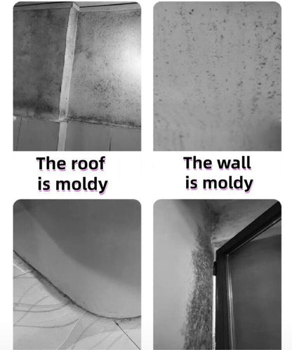 Mold remover spray